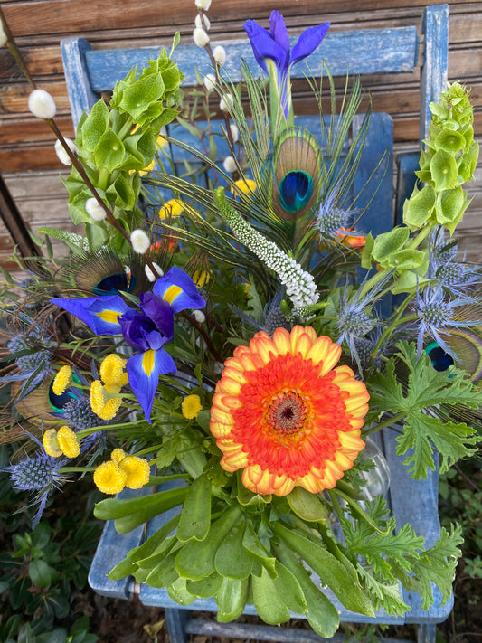Fresh flower arrangement with peacock feathers, blue irises, willow branches, and succulents. Flower delivery in woodland, Davis, esparto, knights landing