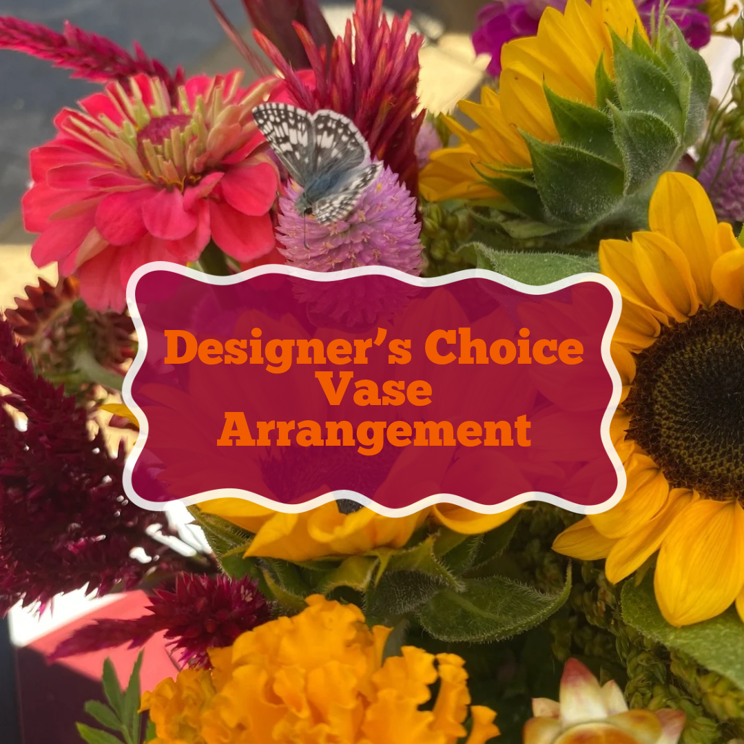 Designer’ Choice
