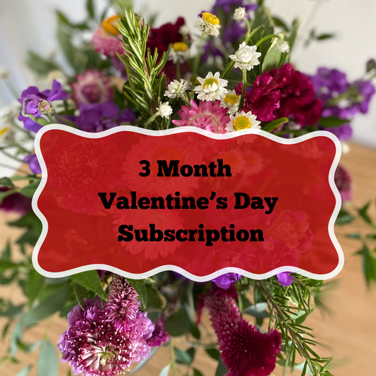 3 month valentine's day subscription service with a focus on locally grown flowers small woman owned business fresh flowers delivered in woodland, davis, brooks, knight's landing, esparto