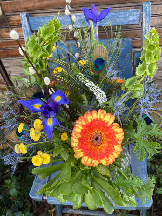 Fresh flower arrangement with peacock feathers, blue irises, willow branches, and succulents. Flower delivery in woodland, Davis, esparto, knights landing