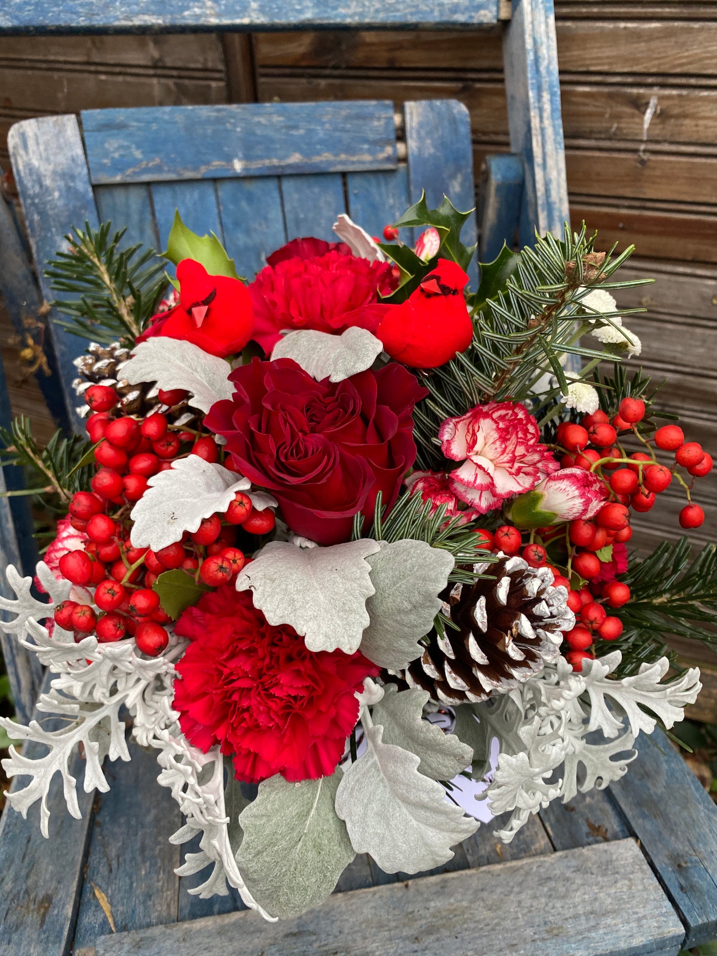 Xmas Birds of a Feather