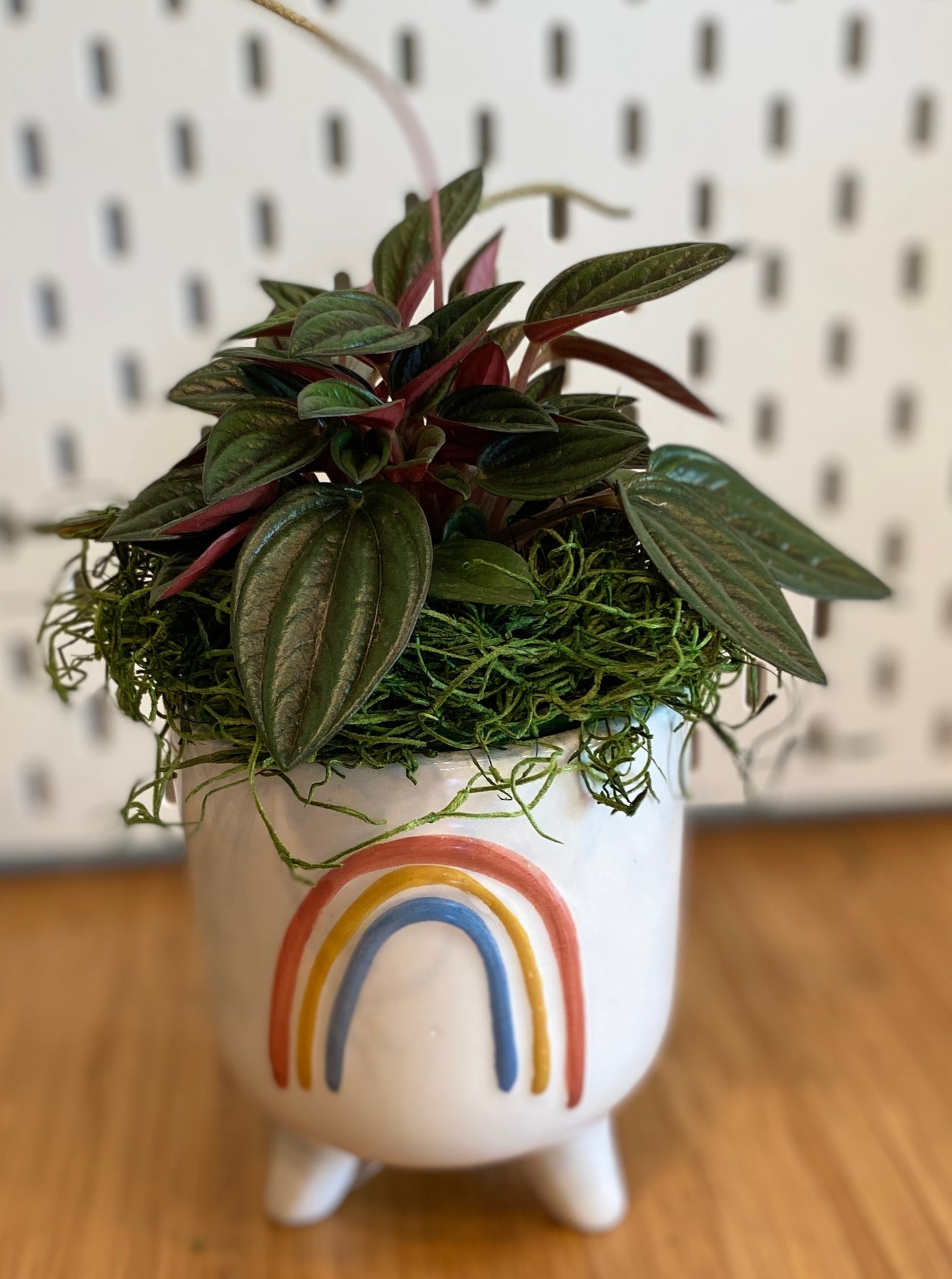 Rainbow planter