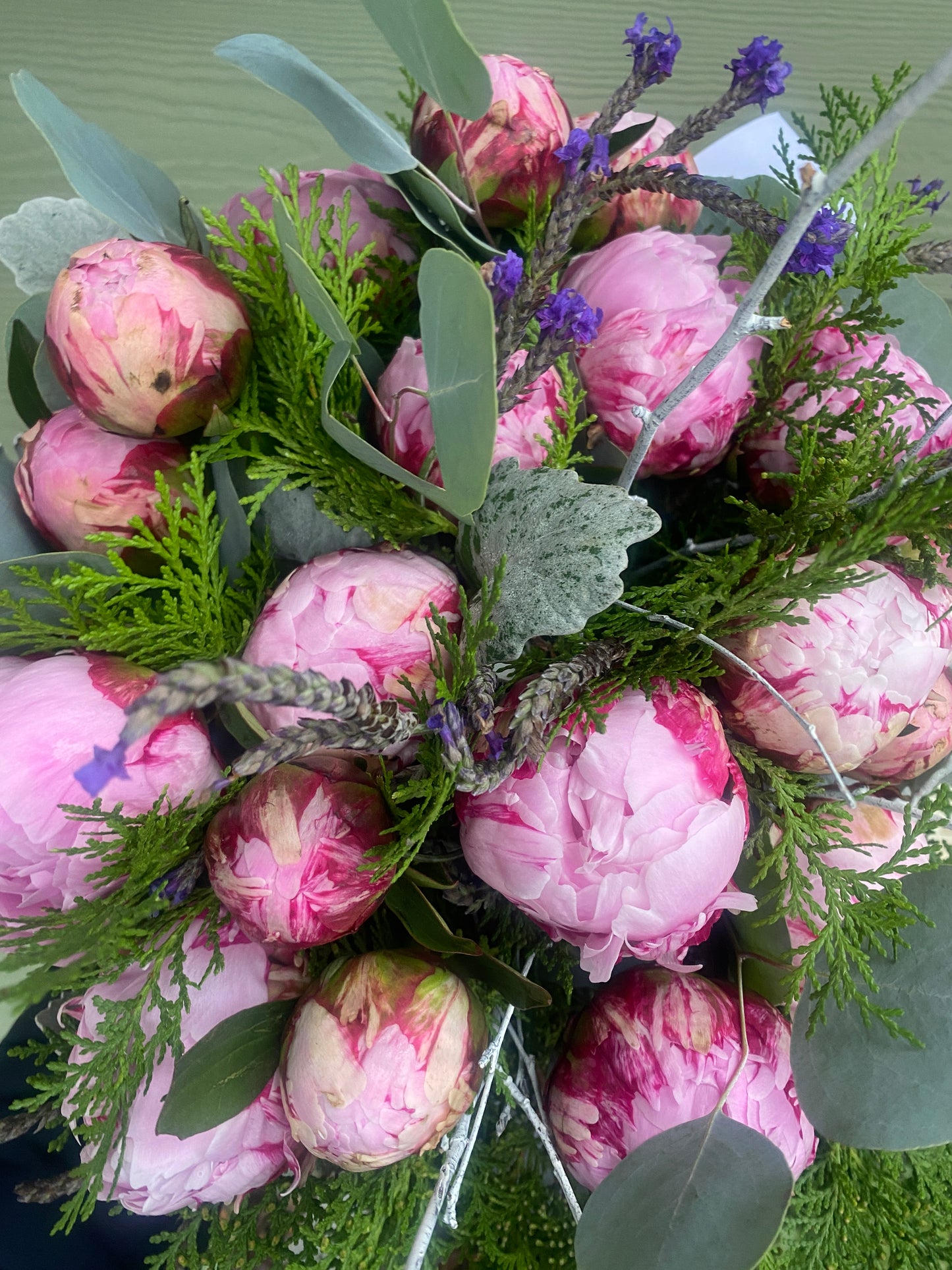 Peony Perfection